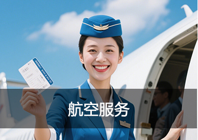 航空服务